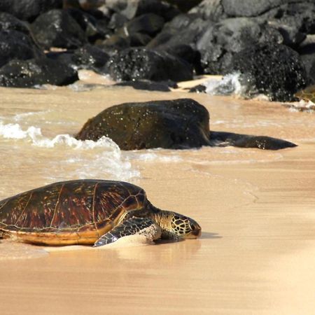 カハナ Kaleialoha 309ヴィラ エクステリア 写真