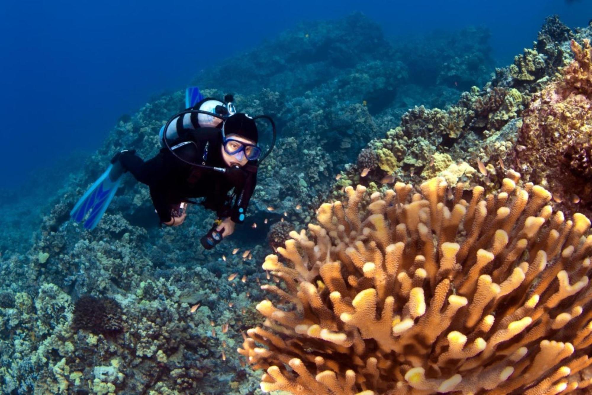 カハナ Kaleialoha 309ヴィラ エクステリア 写真